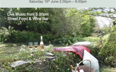 Party by the Pond at Riversbridge Saturday 15th June